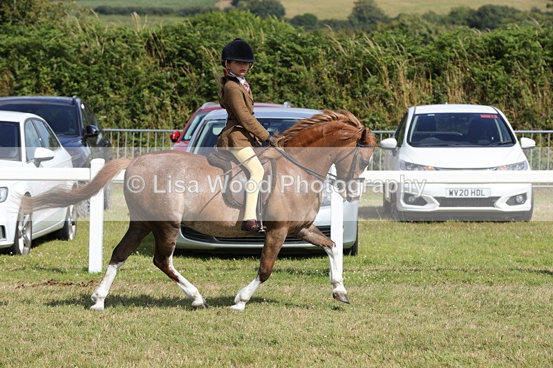 1X9A5650 - Class 40: NPS Welsh A & B