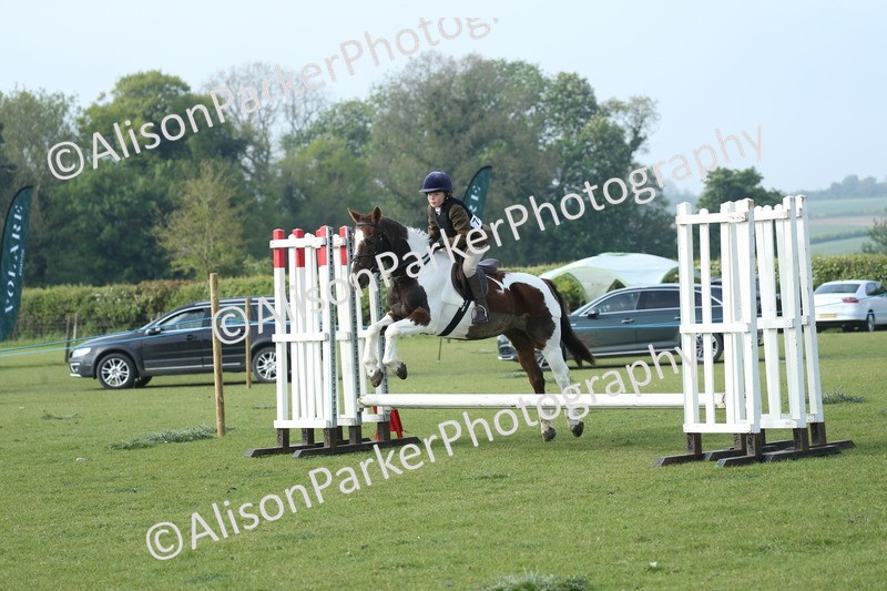 20260426-0072 - Class 13 - Rookie Jumping 50cm