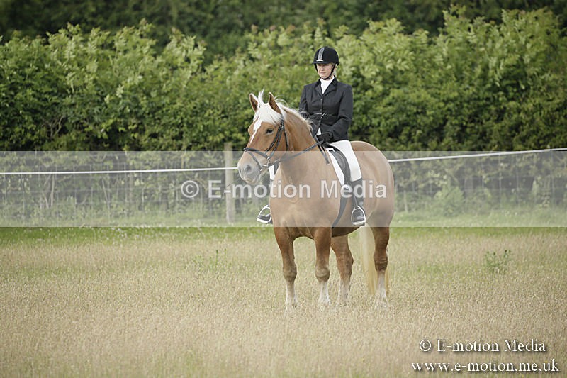 B230619-0151 - Bourne Valley Riding Club Summer Show 23/06/19