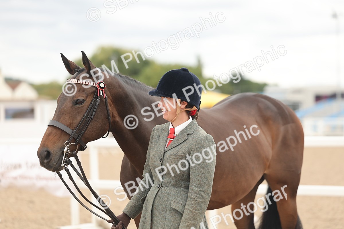 SBM_17117 - Class 313 - IH Retired Racehorse
