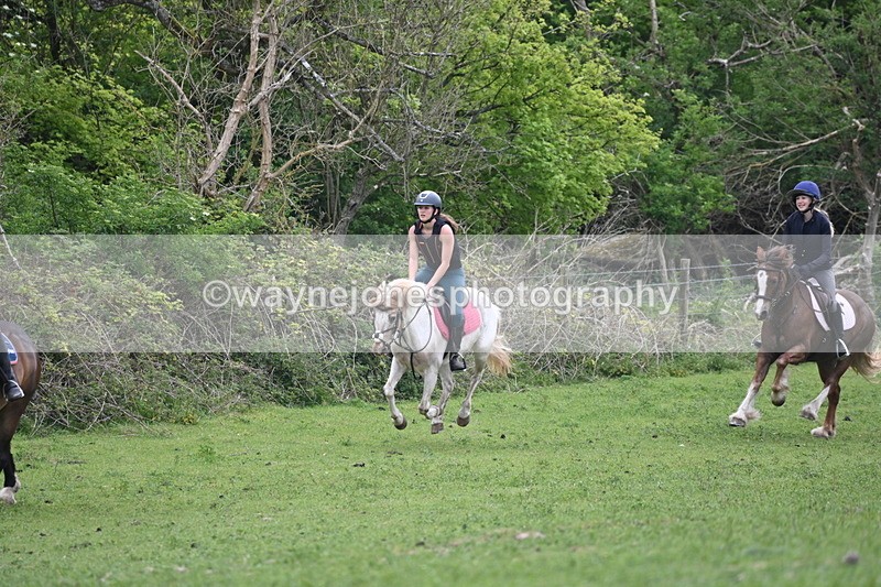 WJ6_3282 - A camera