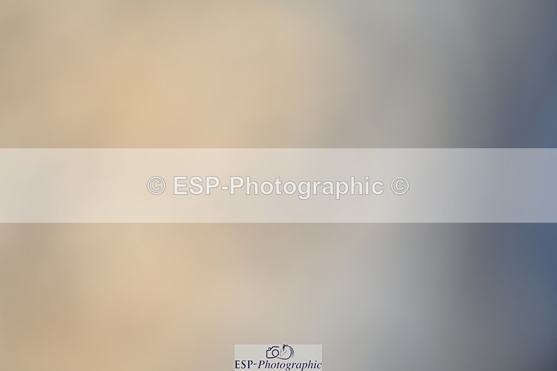 230813-111906-06562 - Cls 12 Elem Silver 10.35 to End