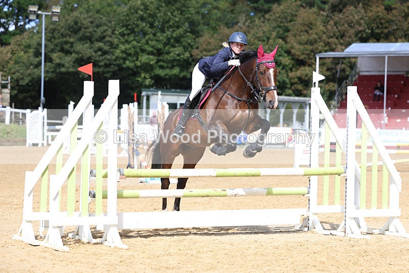 3E7A9093 - Class 9: Senior British Novice/90cm open