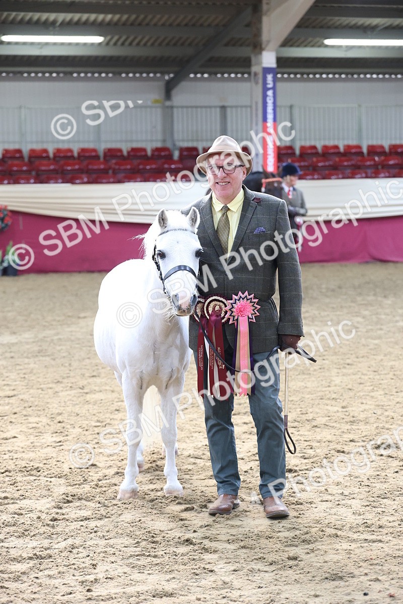 SBM_21913 - Class 901 - Supreme Final - IH  Diamond