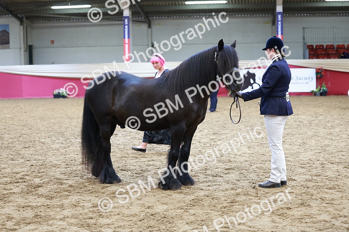 SBM_17355 - Class 951 - M&M IH Supreme Final