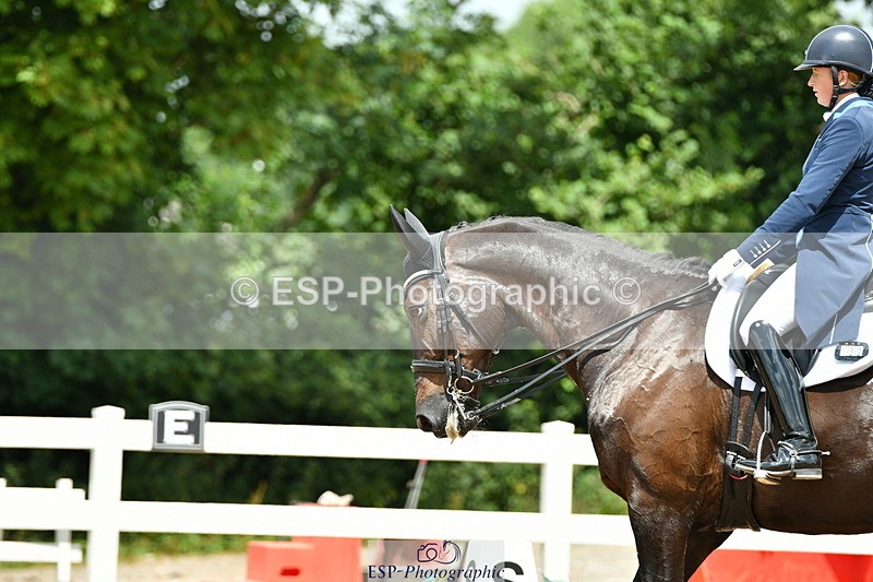 230701A-135256-06367 - Cls 12, 15 + 19 Music Medium, Adv Medium + Inter I