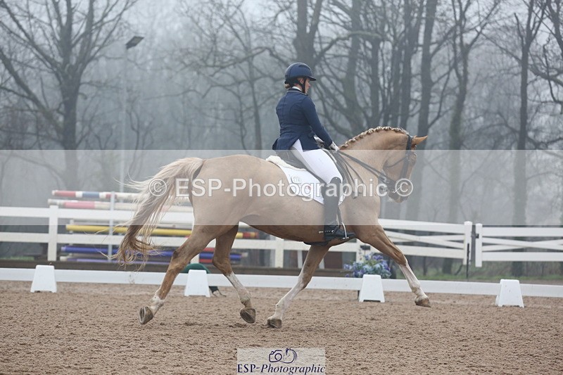 240217A-123258-02904 - 274-Clare.Smith-Dori.Dragon.Fly