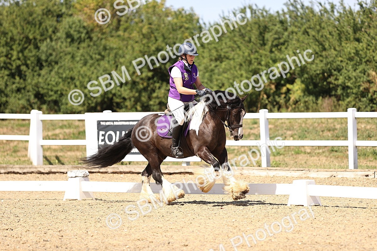 SBM_012319 - Novice 5 - 13.05-14.36