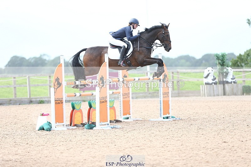 230812A-121201-08780 - Cls 32 Foxhunter