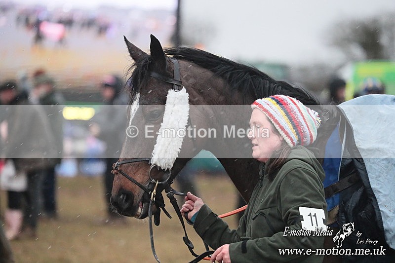 PtP 260125 994 - Cocklebarrow Point-to-Point racing with the Heythrop Hunt 26/01/25