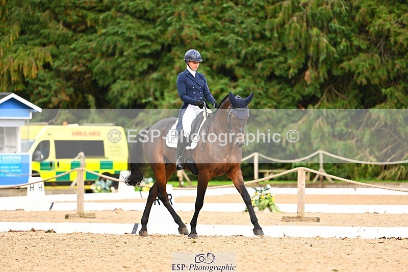 231020-162059-12224 - 338-GLOBAL.CANDY.BOY-Georgie.Campbell-DR