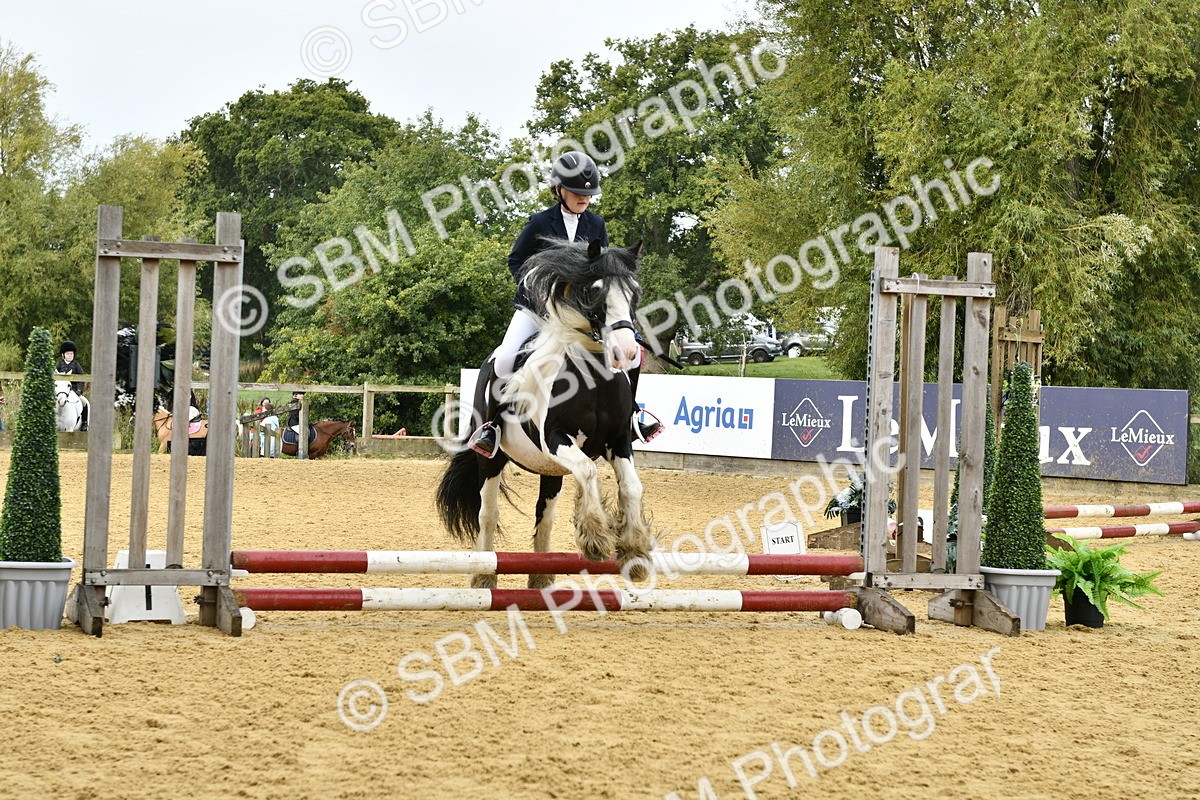 SBM_57237 - J61 - Mini Clear Round 30cm & 40cm