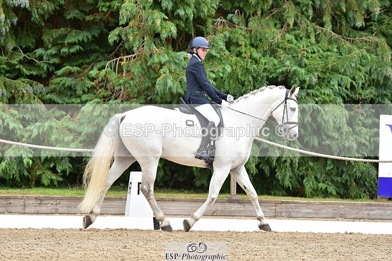 250719A-153444-06889 - 024-Neve.Moran-Clareville.Golden.Knight