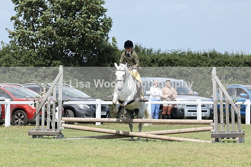 JPP_2094 - Class 19: Working Hunter 60cm