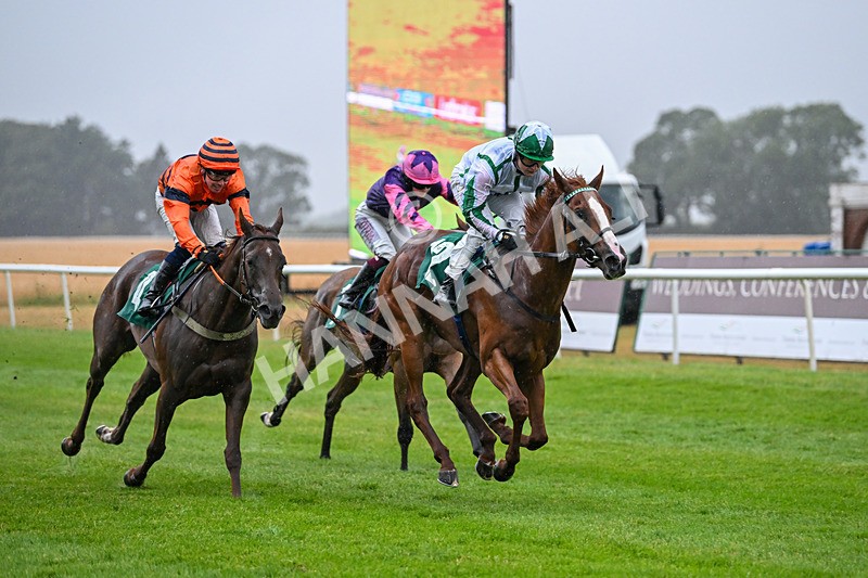 150725-Race 3-The Kamikaze King-6755 - Race 3