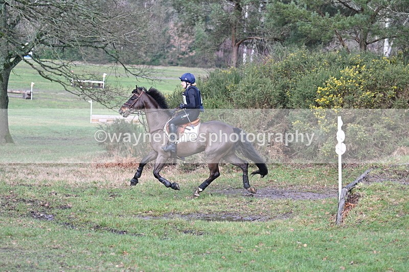 WJ7_6338 - Time 11:11 to 11:38