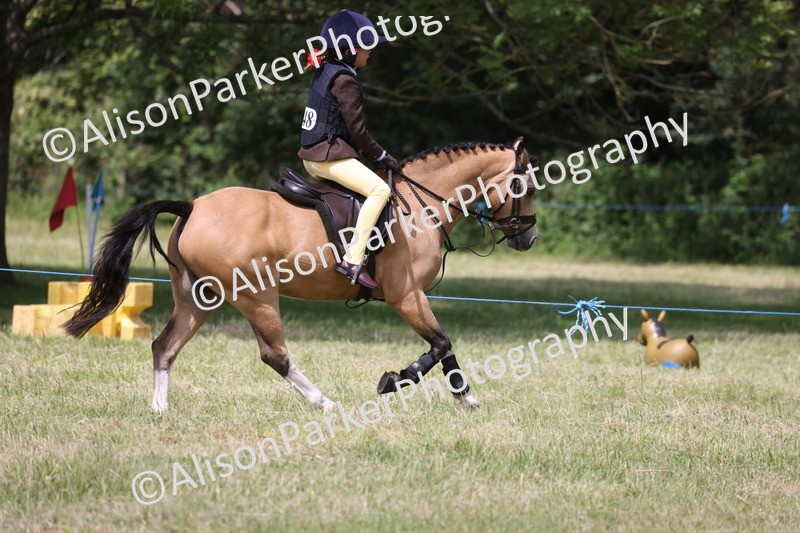 20260614-1915 - Class 21 - Novice Working Hunter Pony