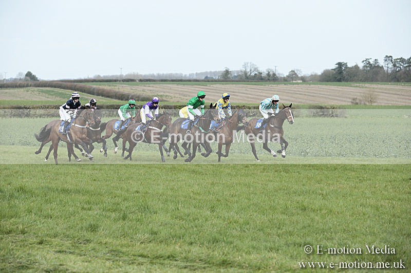 PtP 230319 147 - VWH Hunt Siddington Point-to-Point Racing 23/03/19