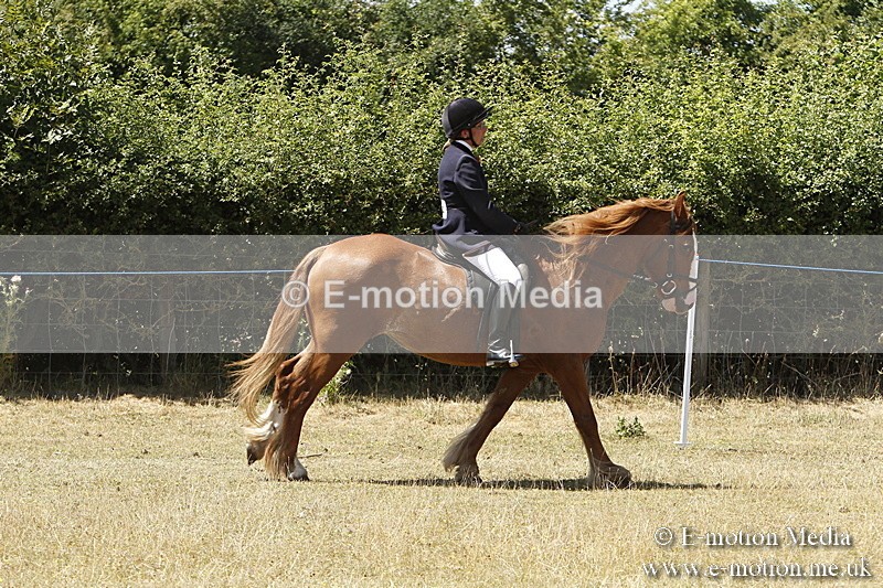 _BS_0889 - BVRC Show 2018 Ring 1