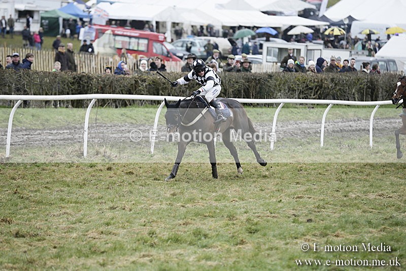 PtP 020418 -404 - Old Berks Point-to-Point Races Easter Monday 02/04/18