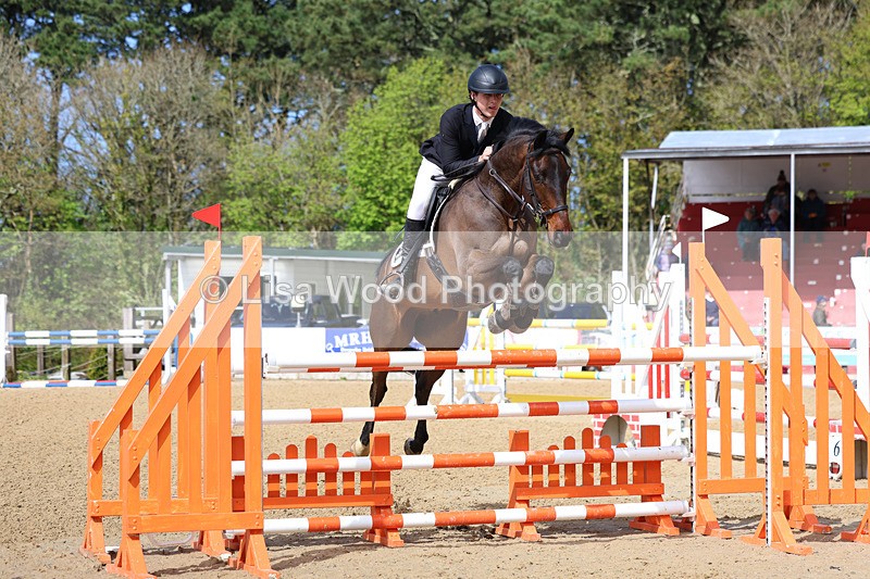 3E7A2185 - Class 8: Senior Foxhunter/1.20 open