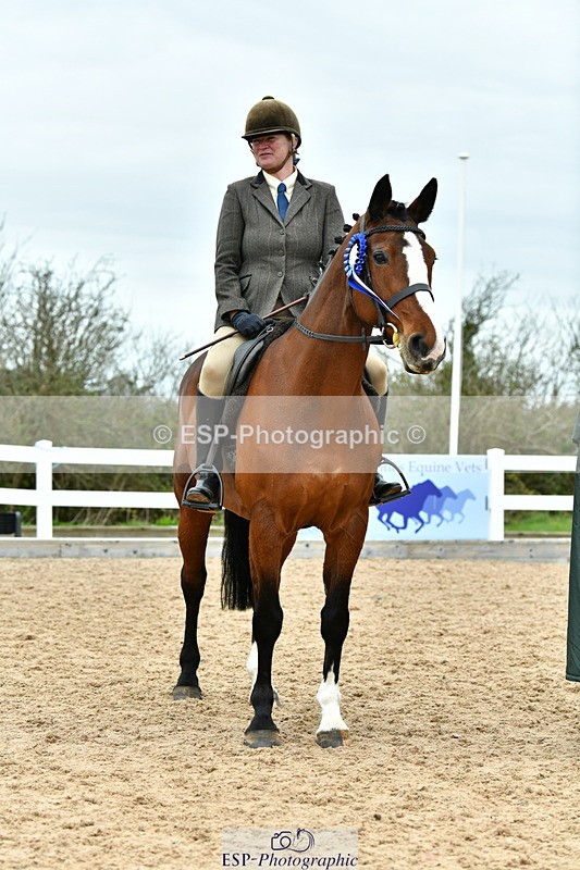 230416A-140041-04983 - Cls 60 Ridden Show Horse