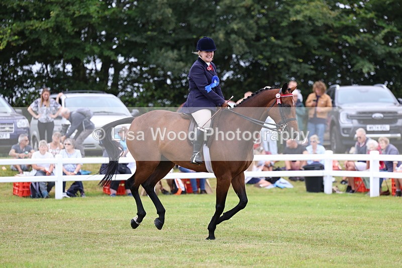 3E7A1288 - Class 8: Open Riding Horse/Hack