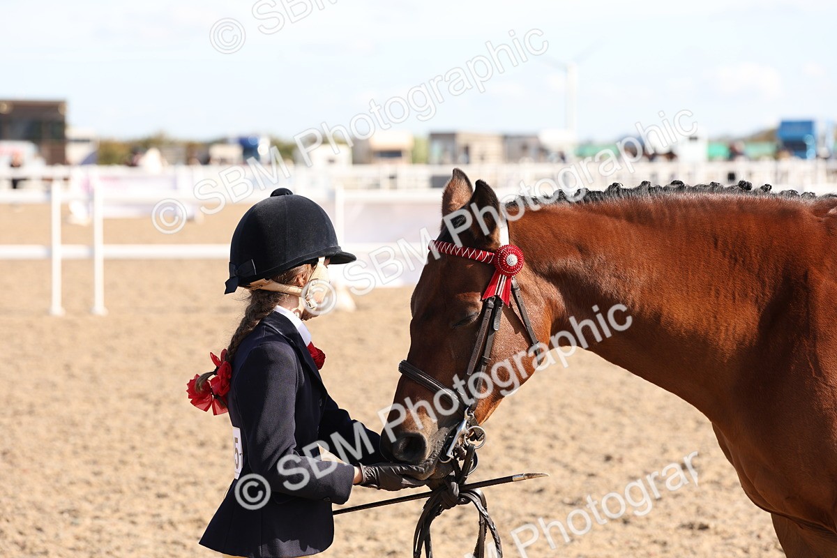 SBM_12832 - Class 205 - IH Show Pony - Show Hunter Pony