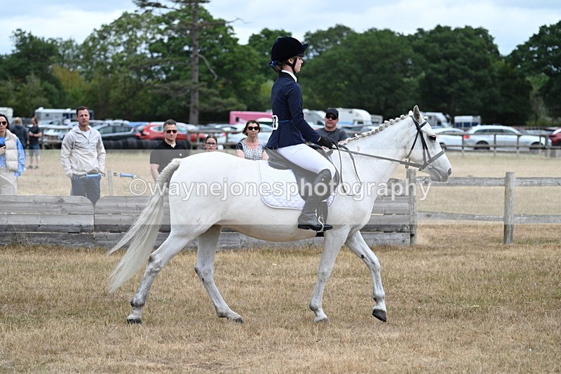 WJ7_7425 - Class 2 Best Rider