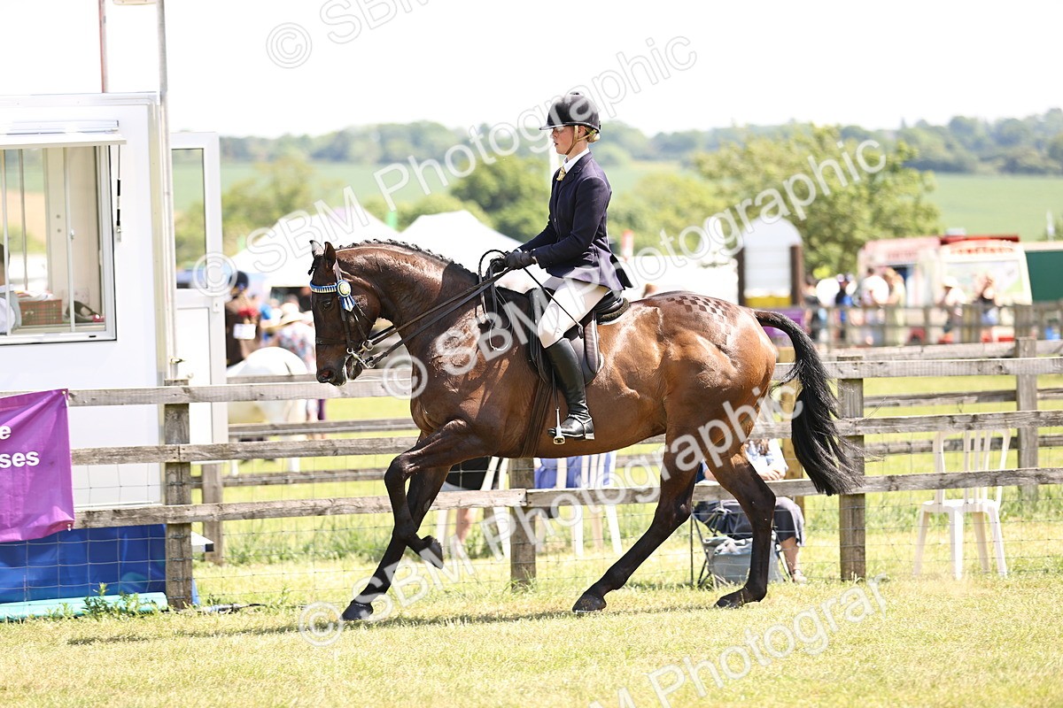 SBM_14913 - Class 78 - LIHS BSHA Open Racehorse & Show Horse