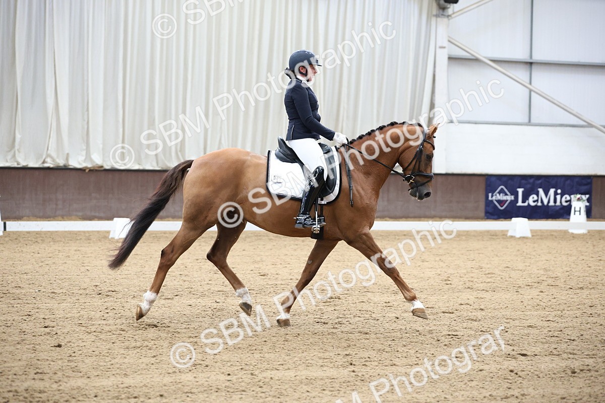SBM_002889 - Class 5 - Novice 6 Gold - 10.24-11.30