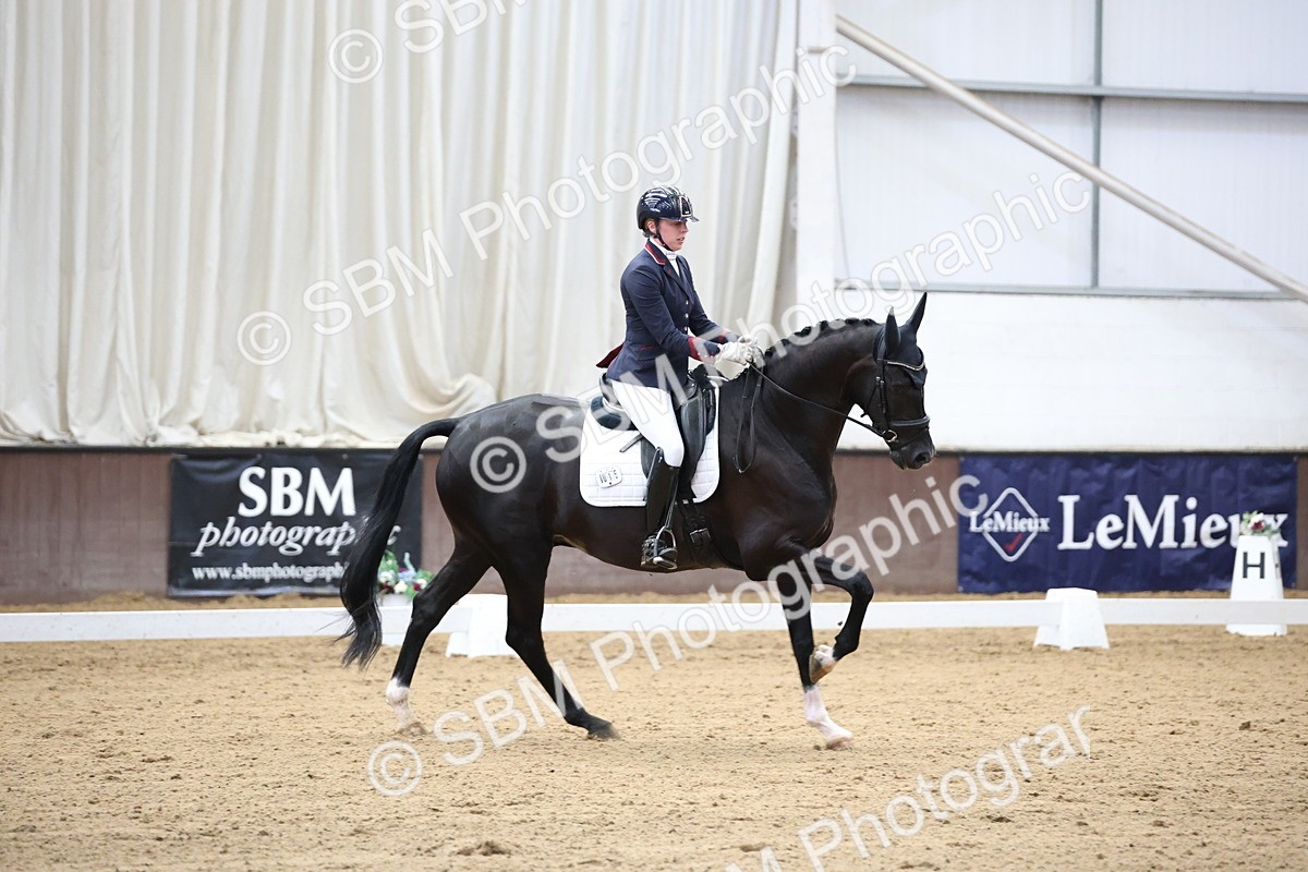 SBM_002217 - Class 5 - Novice 6 Gold - 9.00-10.10