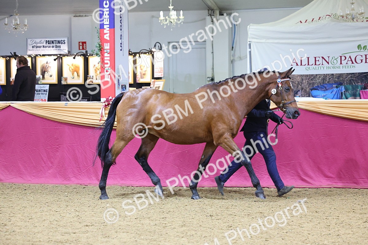 SBM_19639 - Class 901 - Supreme Final - IH Diamond