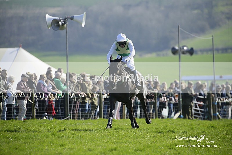 PtP 190322 512 - Wilton Hunt PtP Milborne St Andrew 19/03/22