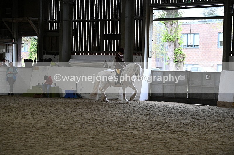 WJ7_3656 - Class 16 Ridden Coloured/ Odd Coloured