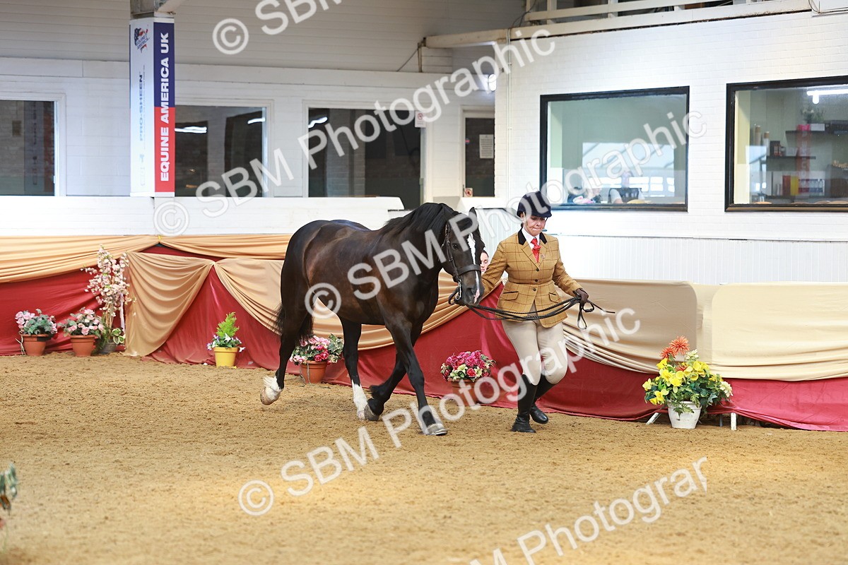 SBM_10715 - Class 103 - HOYS Veteran Qualifier - Ridden Pre Vet