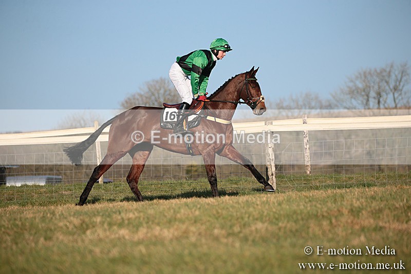 PtP 230219 500 - Vine & Craven Point-To-Point - Barbury 23/02/19