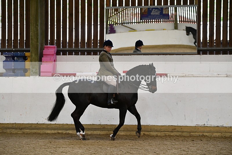 WJ5_7718 - Class 13 Ridden Part Breed