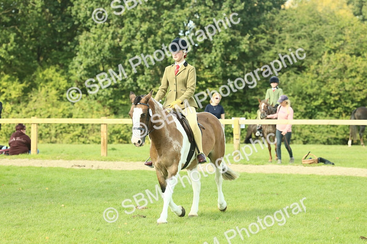 SBM_67642 - S56 - Coloured Pony Ridden
