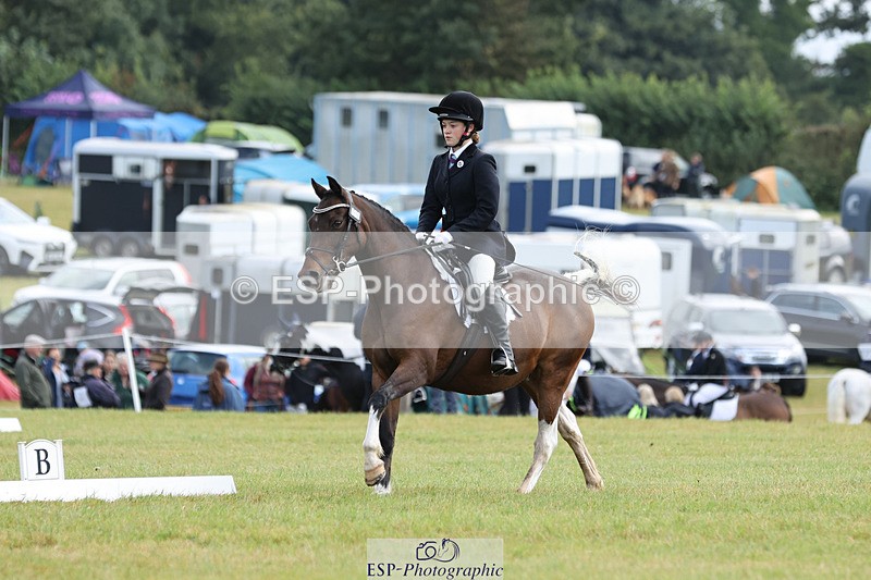 240824X-110632-26845 - D70 Section C and D 9.30 to 11.00