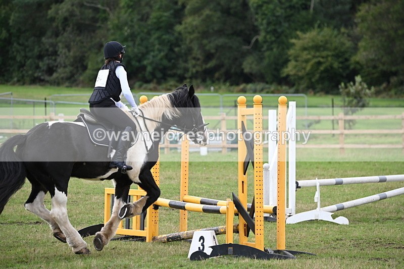 WJ6_1466 - 60cm Time 11:51 to 12:10