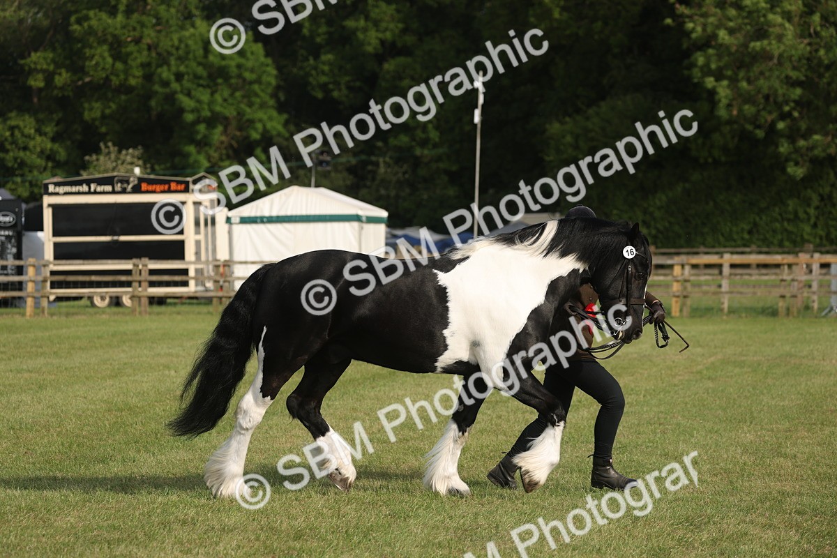 SBM_10577 - Class 33-38 - SSADL RIHS Qualifiers
