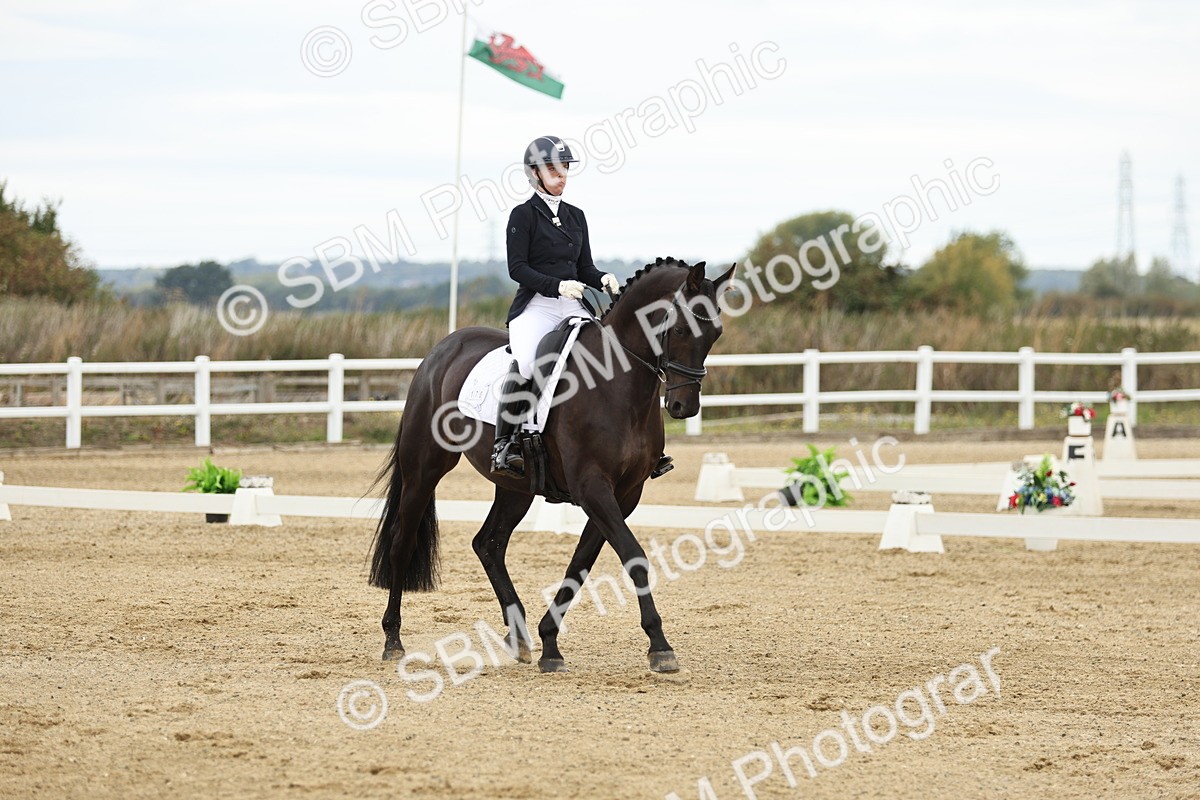 SBM_006589 - Class 21 - Medium 5 Bronze - 9.08-9.48