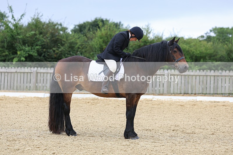 3E7A4727 - Class 1: Intro 4 2024 section A