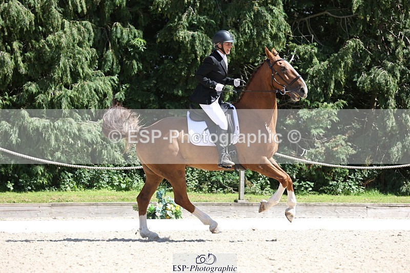 230811-142627-02019 - Cls 1 Prelim Bronze 13.30 to 14.50 break