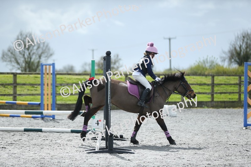 20260412-1764 - Show Jumping
