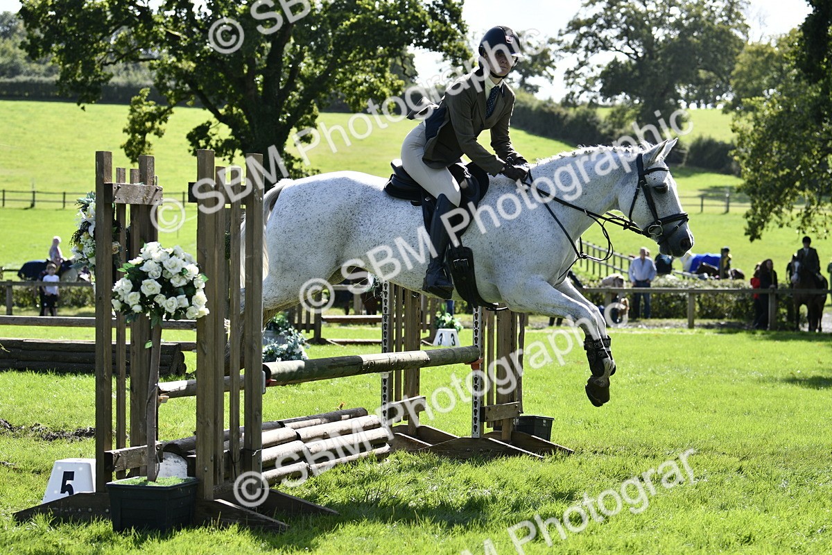 SBM_45739 - S33 - Working Hunter Pony