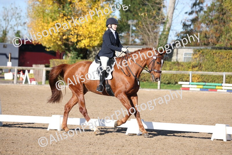 20251102-0529 - Class 3 - Novice 5