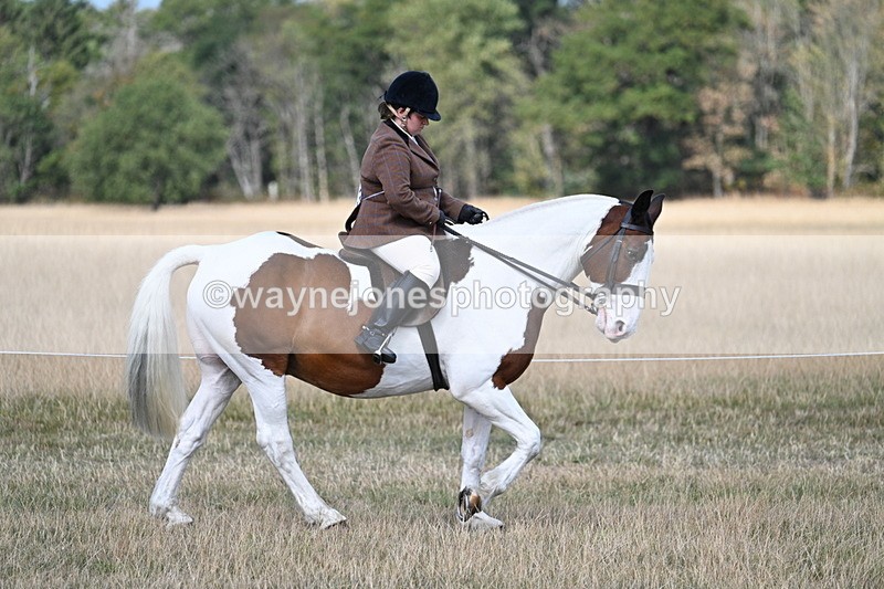 WJ7_6710 - Class 14 Ridden Coloured