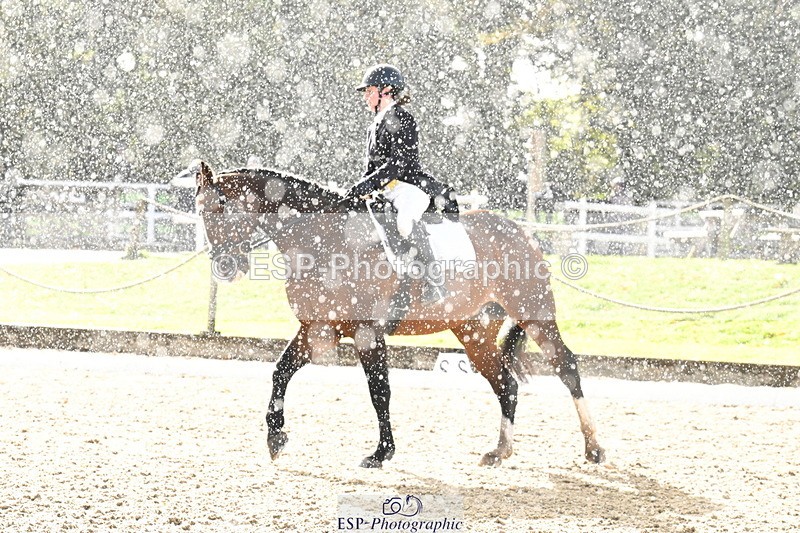 251023A-150427-05660 - B-160-Phoebe.Woods